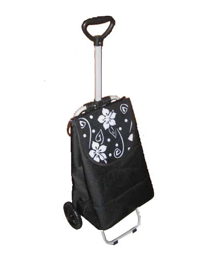SKU: YORKN25028 Trolley Bag With Pockets