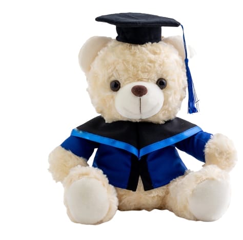 SKU: YORKN50291 Graduation Bear Doll
